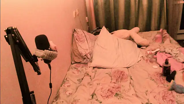 RoasHouren webcam