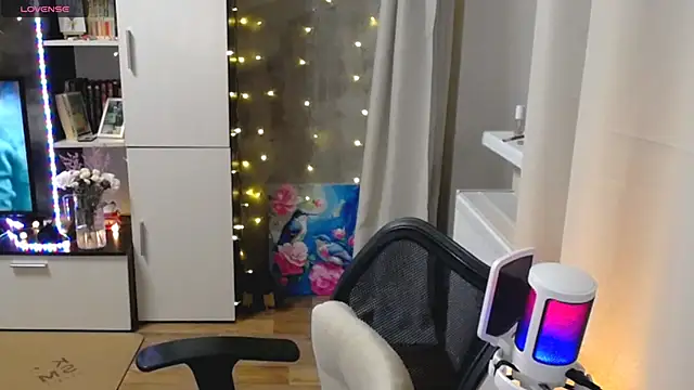 Veleska webcam