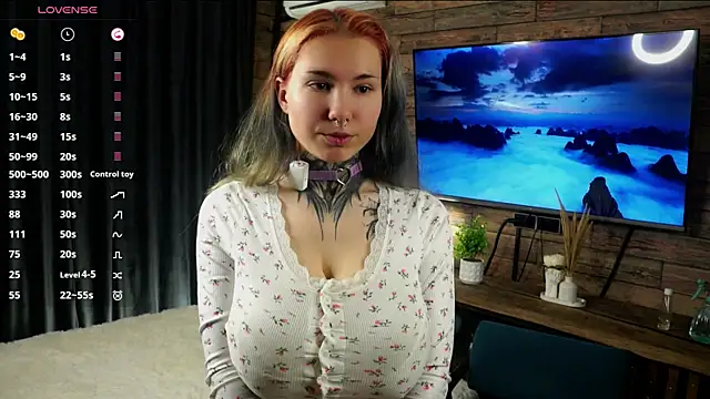 GentleRen webcam