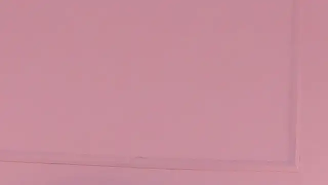 sarah_salis_