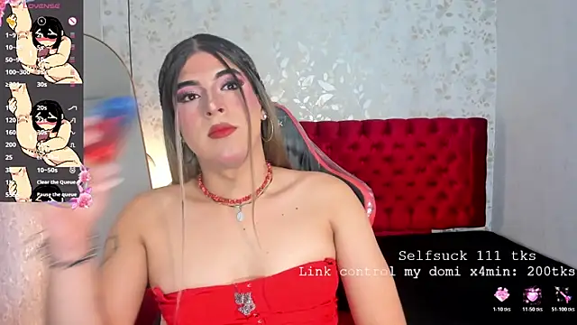 camii_raux webcam