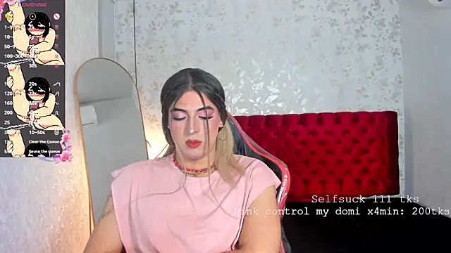 camii_raux webcam