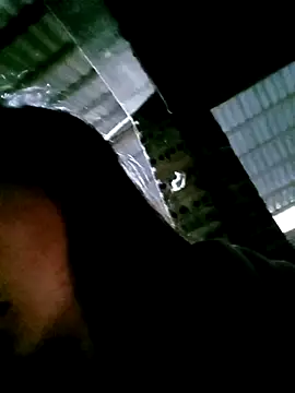 DIANAKUTE webcam
