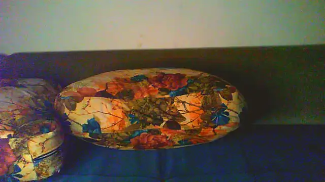 Vbestshow webcam