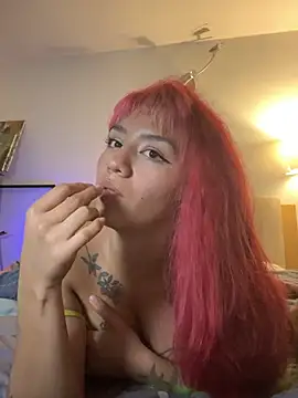 nth-li webcam