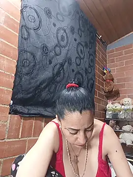 Alexandrina webcam