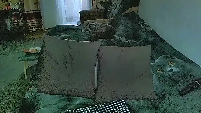 sex2 webcam