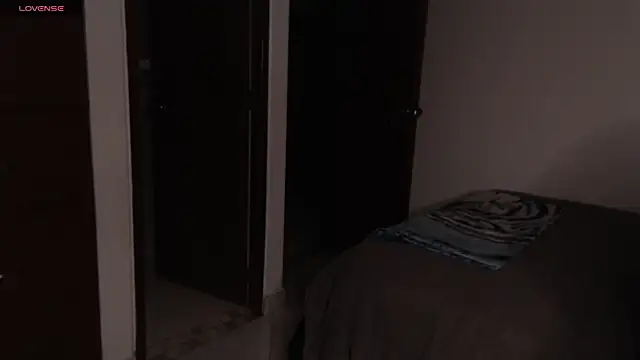 Theprojectsaraa webcam