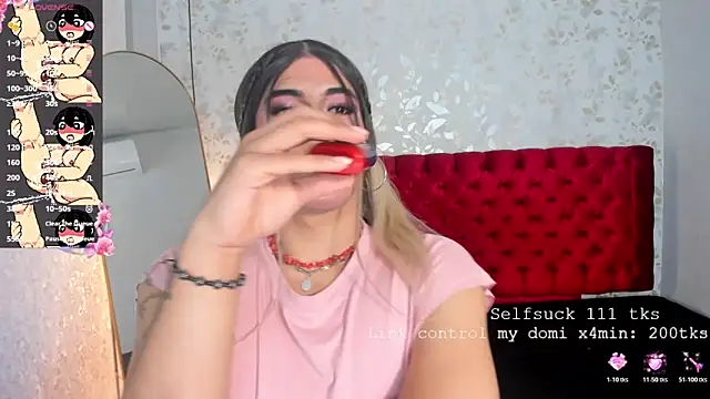 camii_raux webcam