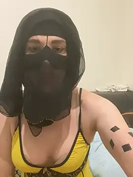 Ashwak_trans webcam