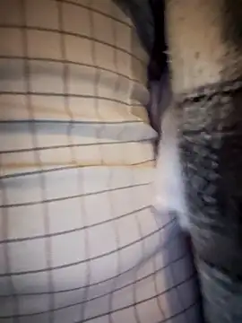 Cataleya_16 webcam