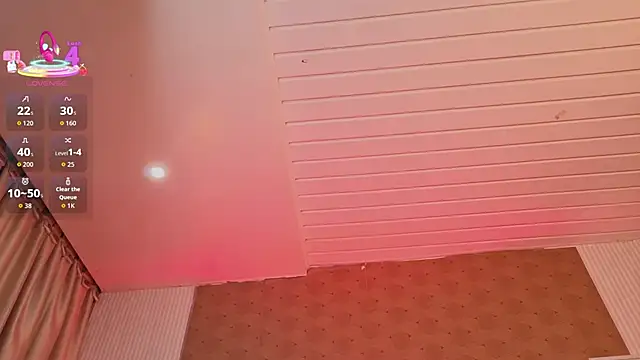 slim_tian webcam