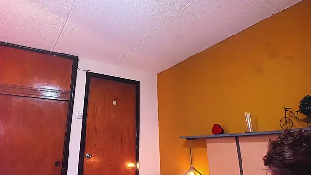 arnold_taylor webcam