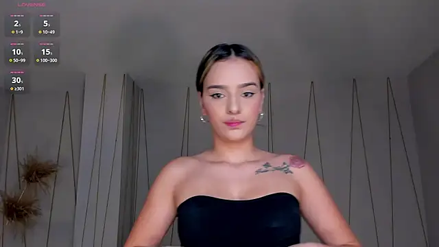 LaurentRosse1 webcam