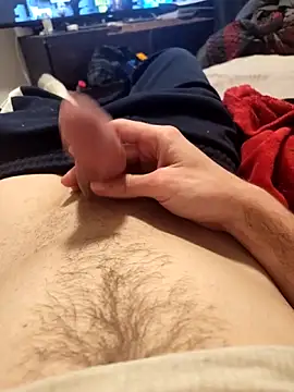 BigD9331 webcam