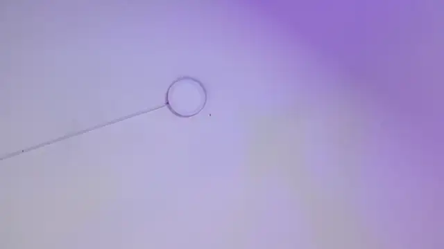 ladymooncs webcam