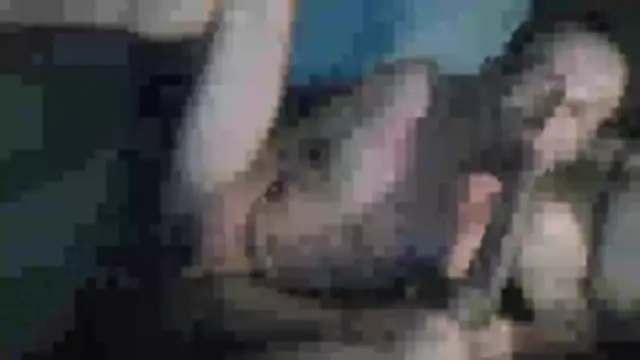 chceciedalsiebie webcam