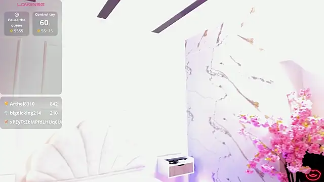 BrianaHazel webcam