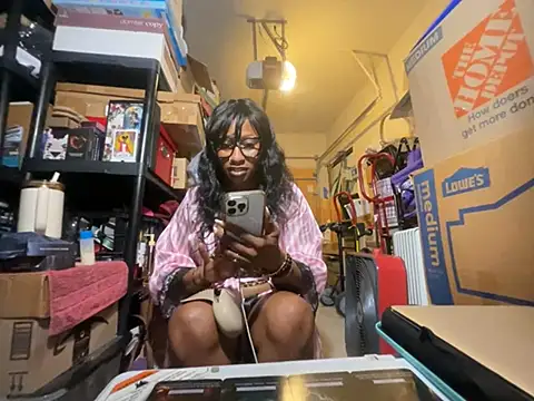 wynterheat webcam