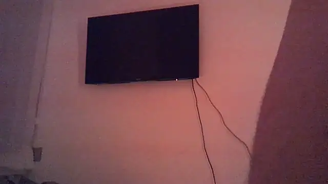 NoFaceBull webcam