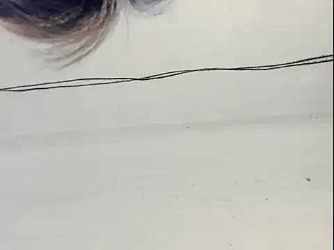 Cherry-666 webcam
