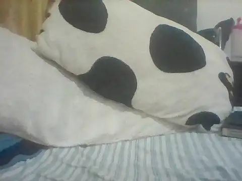 Thand03 webcam