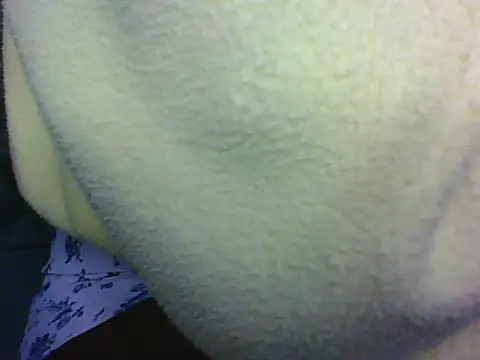 cahnny webcam