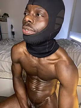 segbemal webcam