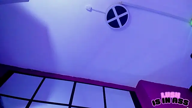 Alexa_Slave webcam