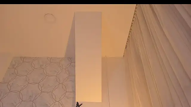 Foxy200__ webcam