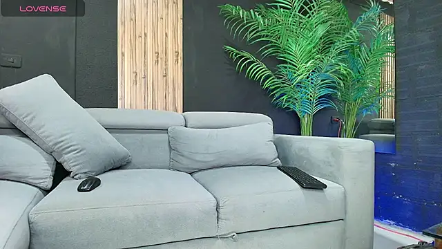 angelstream webcam