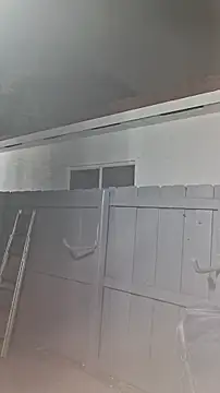 Zander823 webcam