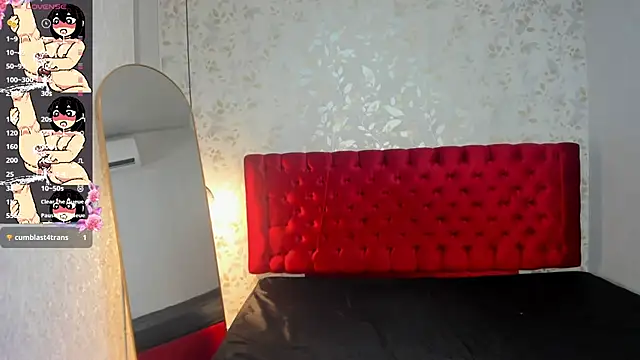 camii_raux webcam