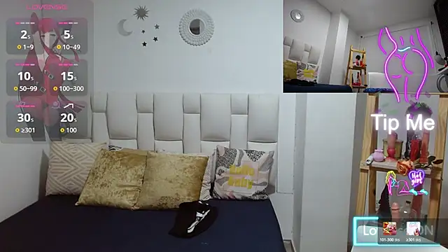 michel_rous_ webcam