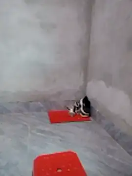 Thobaby112 webcam