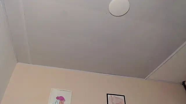 Zaaida_ webcam