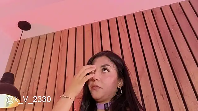 sofiesoft webcam
