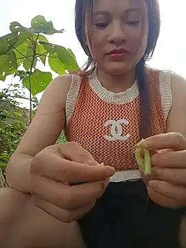 sushi-asa webcam