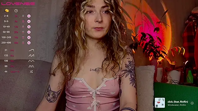 IttyKitty webcam