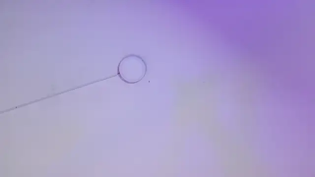 ladymooncs webcam