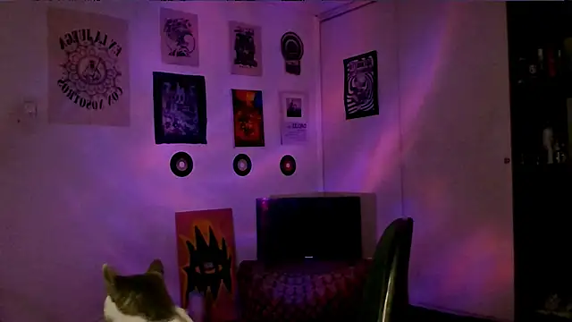 alex_one888 webcam