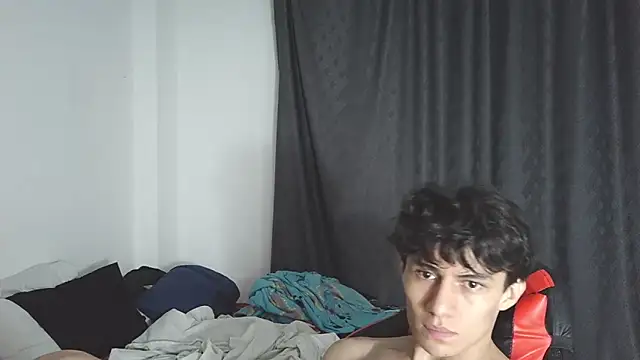 aresholland webcam