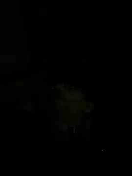 hailzeffn
