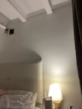 SelenaStone webcam