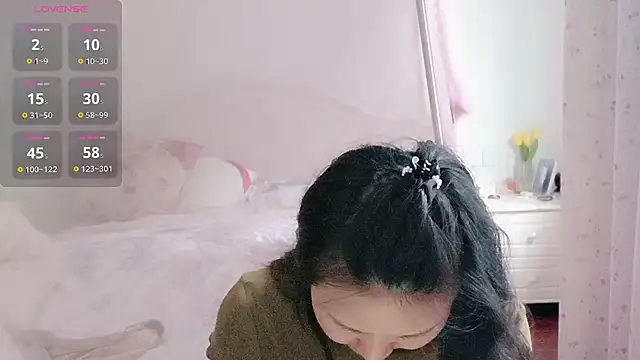 fanfan-FF webcam