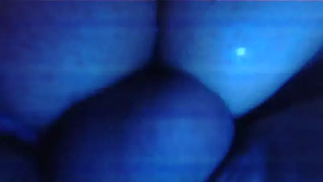 SatiroyNinfa webcam