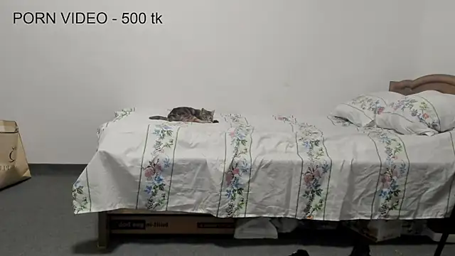 Charlotte_wow webcam