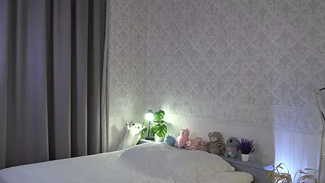 sky_dian webcam