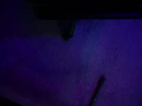 chronic_vibez webcam