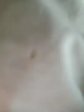 Muna_LM webcam